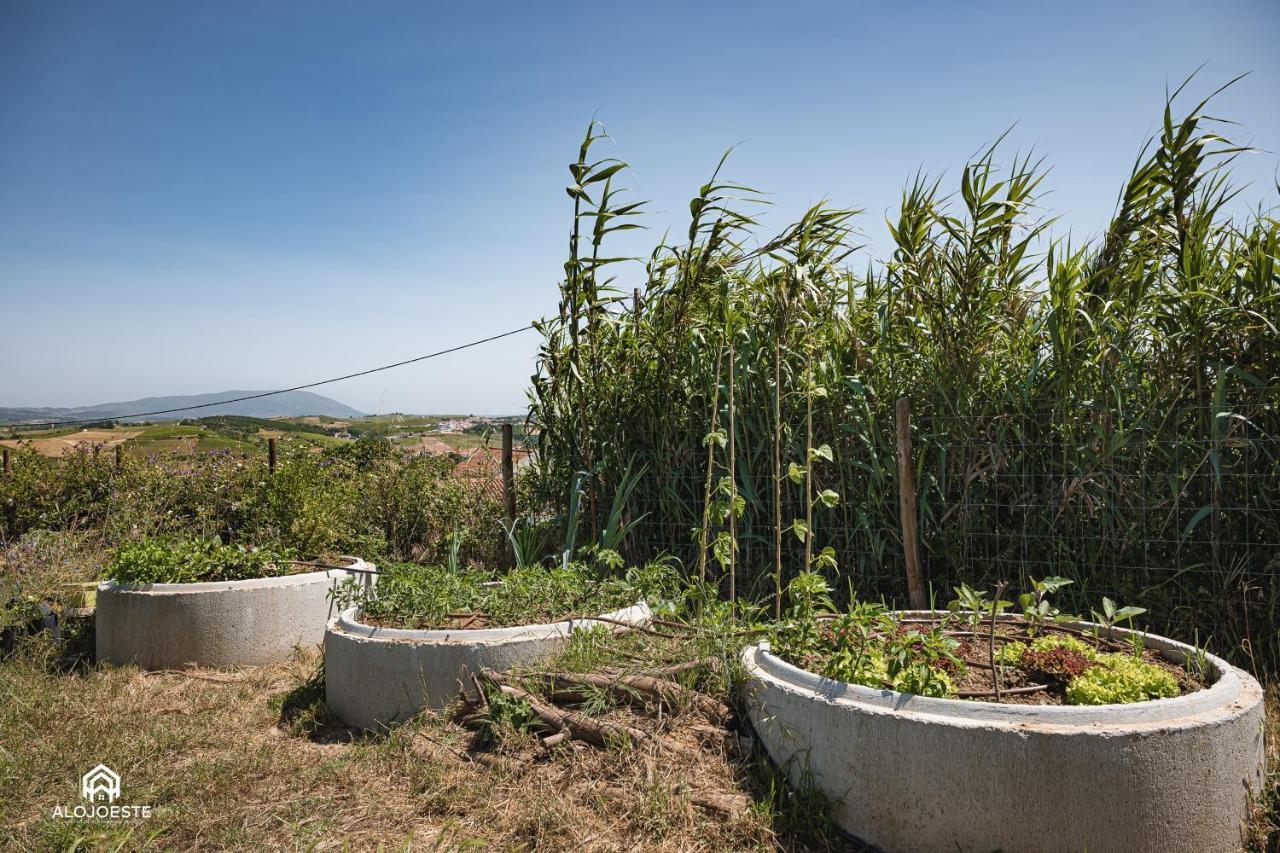 Quinta Da Estima Βίλα Dous Portos Εξωτερικό φωτογραφία